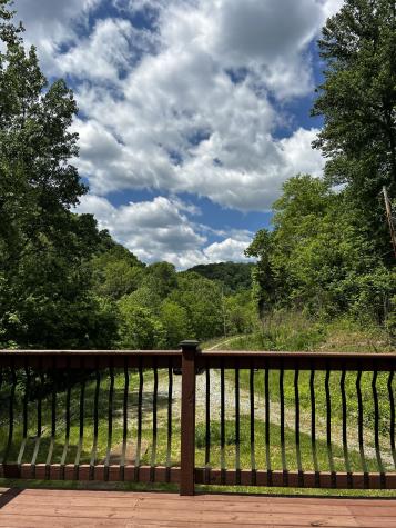 140 Carver Hollow Road Pleasant Shade TN 37145