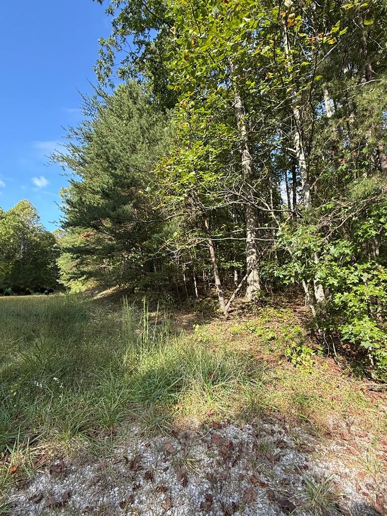 0 W Laurel Way Monterey TN 38574