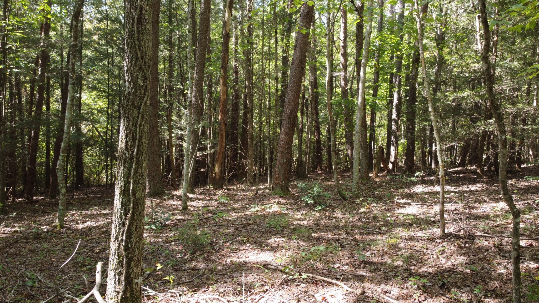 11 Camp Creek Road Spencer TN 38585