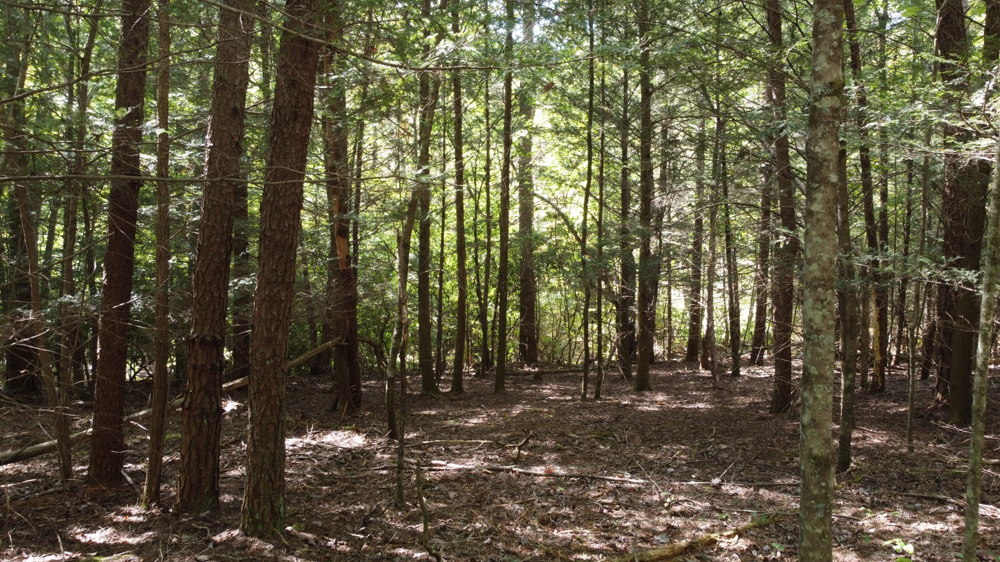 11 Camp Creek Road Spencer TN 38585