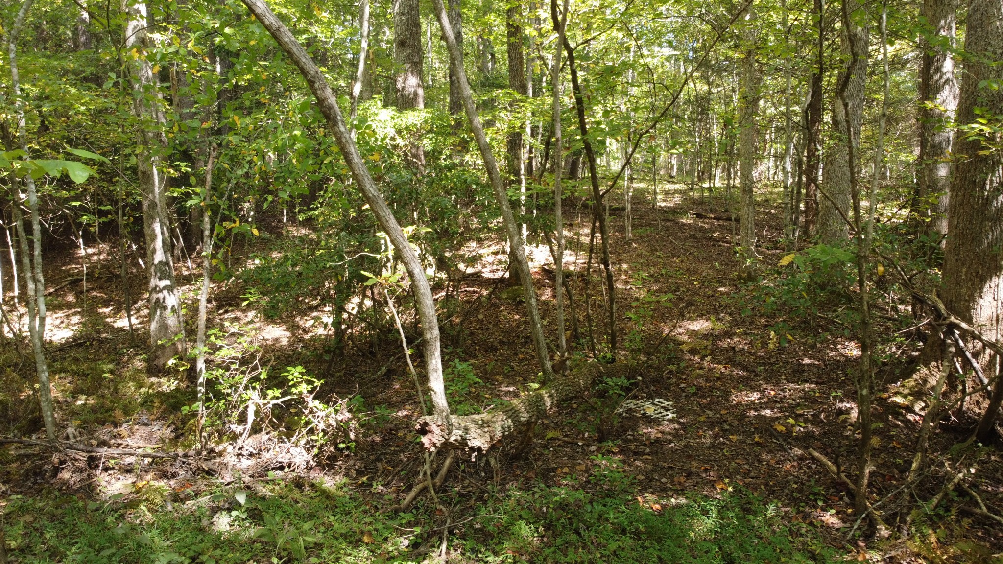 11 Camp Creek Road Spencer TN 38585