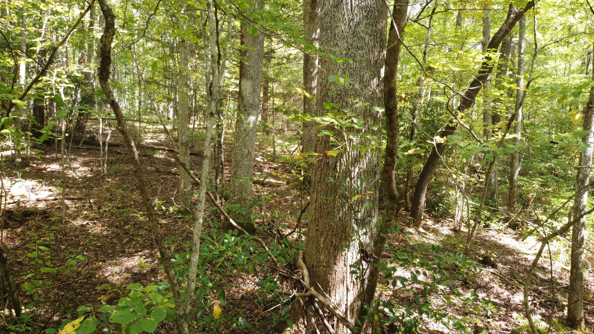 11 Camp Creek Road Spencer TN 38585