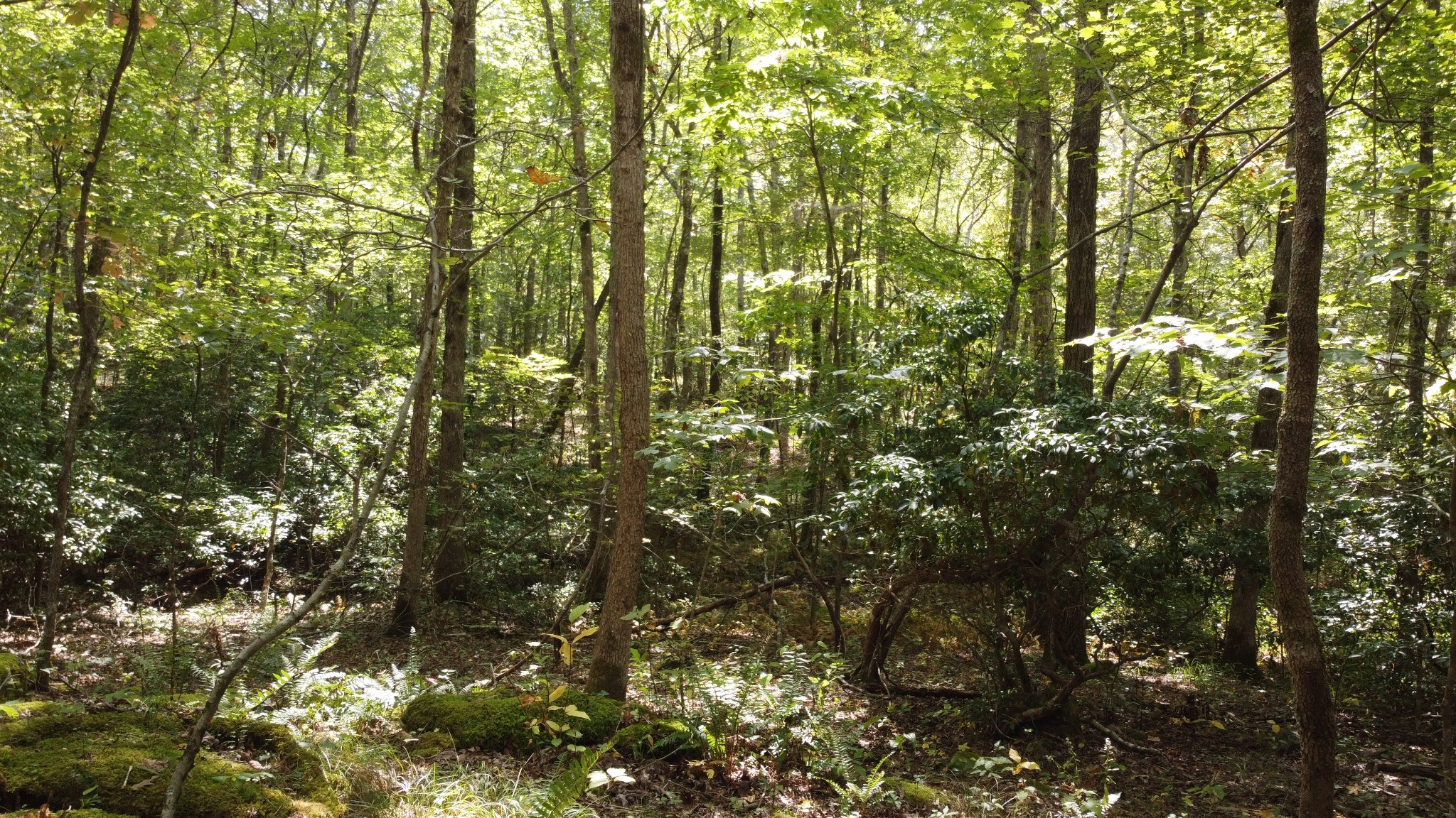 11 Camp Creek Road Spencer TN 38585