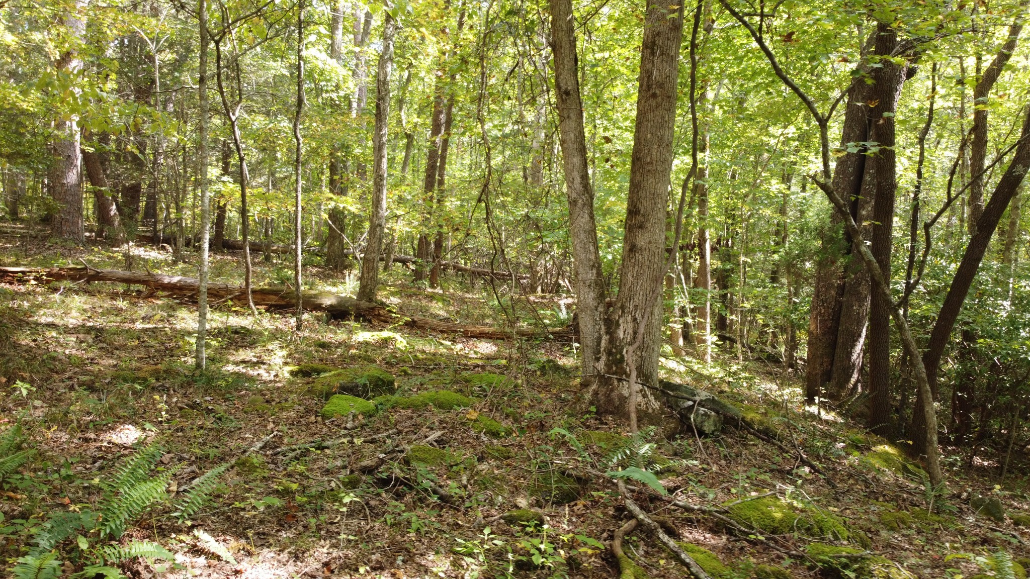 11 Camp Creek Road Spencer TN 38585