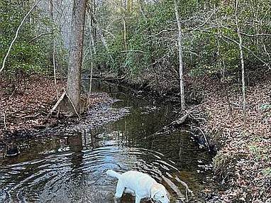11 Camp Creek Road Spencer TN 38585