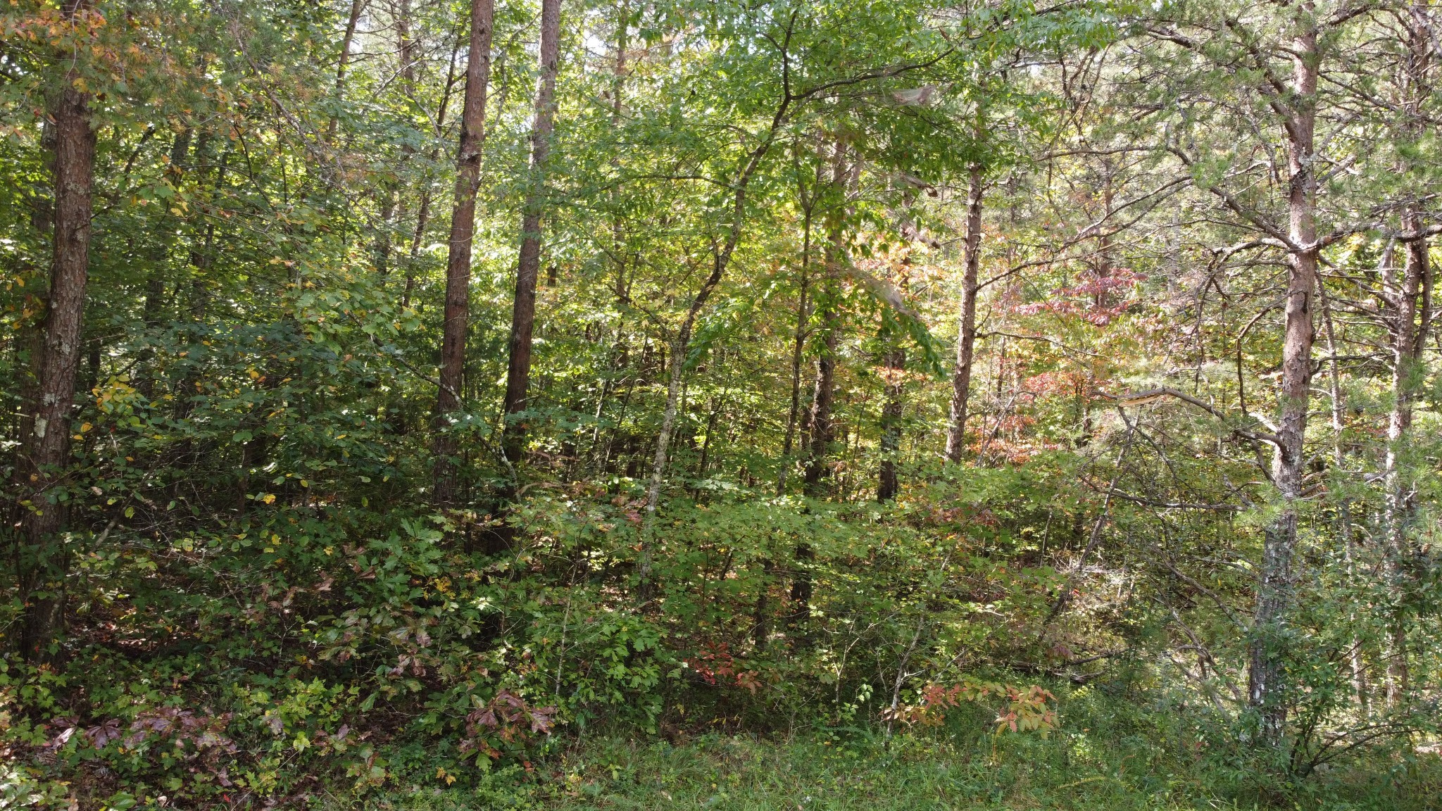 11 Camp Creek Road Spencer TN 38585