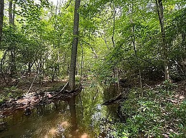 11 Camp Creek Road Spencer TN 38585