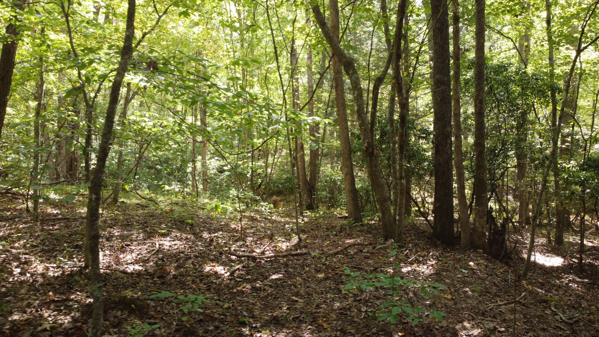 11 Camp Creek Road Spencer TN 38585