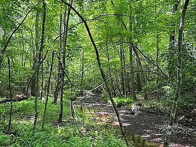 11 Camp Creek Road Spencer TN 38585