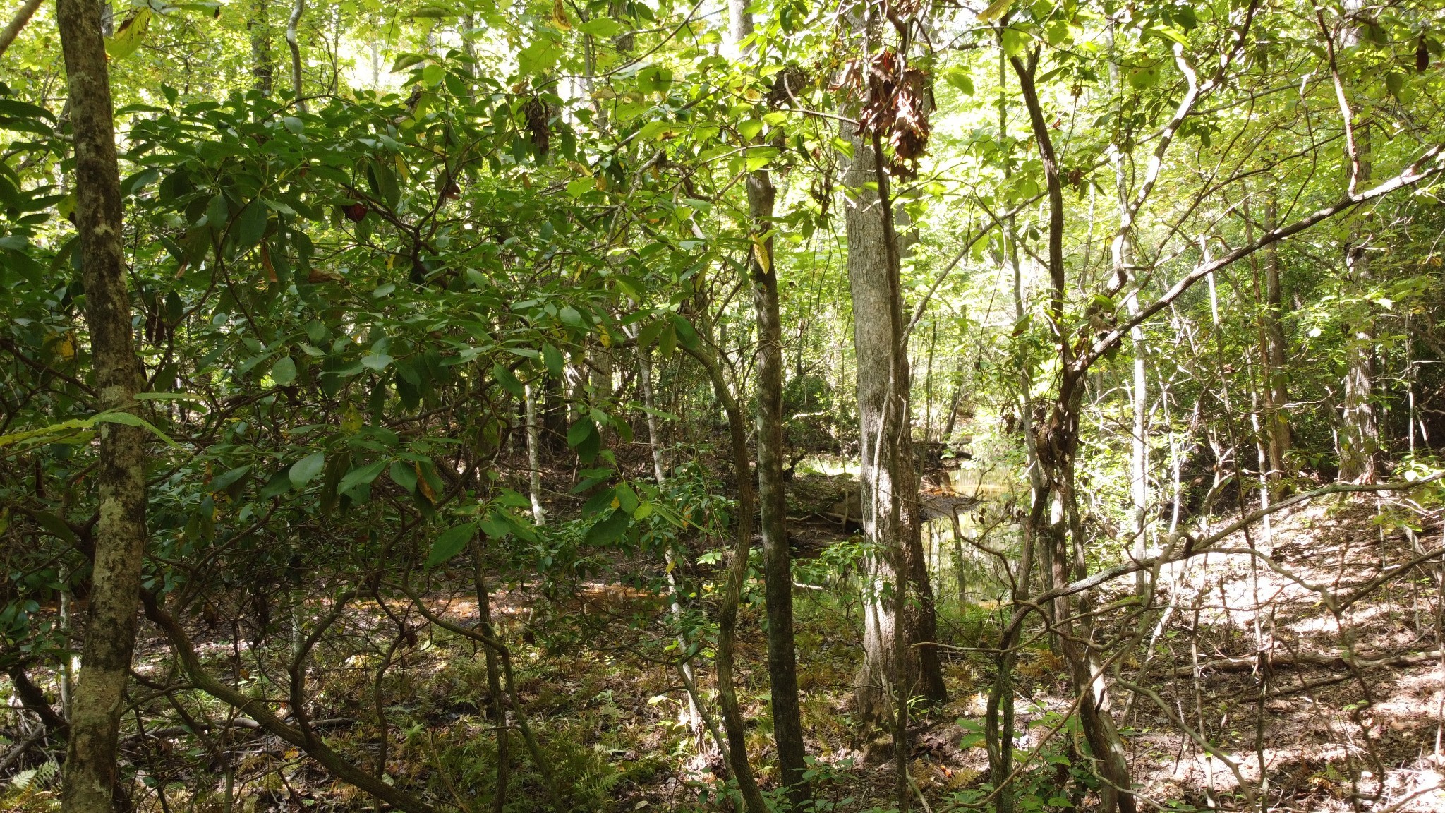11 Camp Creek Road Spencer TN 38585