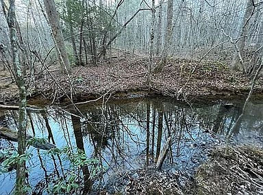 11 Camp Creek Road Spencer TN 38585