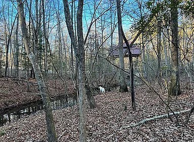 11 Camp Creek Road Spencer TN 38585