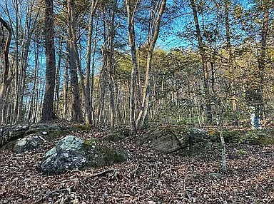 11 Camp Creek Road Spencer TN 38585