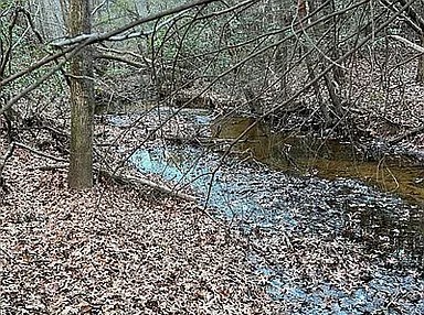 11 Camp Creek Road Spencer TN 38585