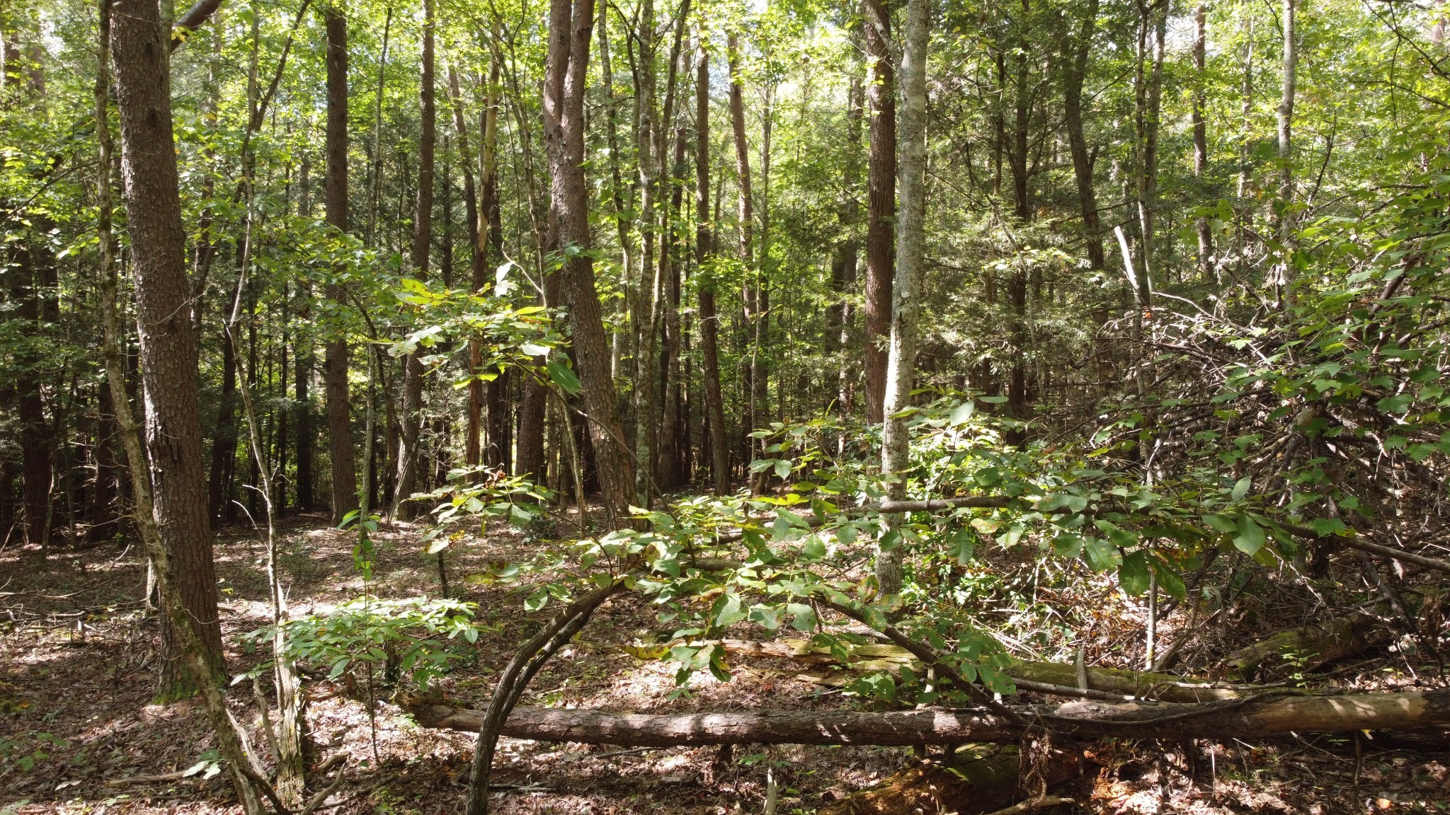 11 Camp Creek Road Spencer TN 38585