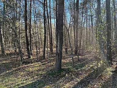 11 Camp Creek Road Spencer TN 38585