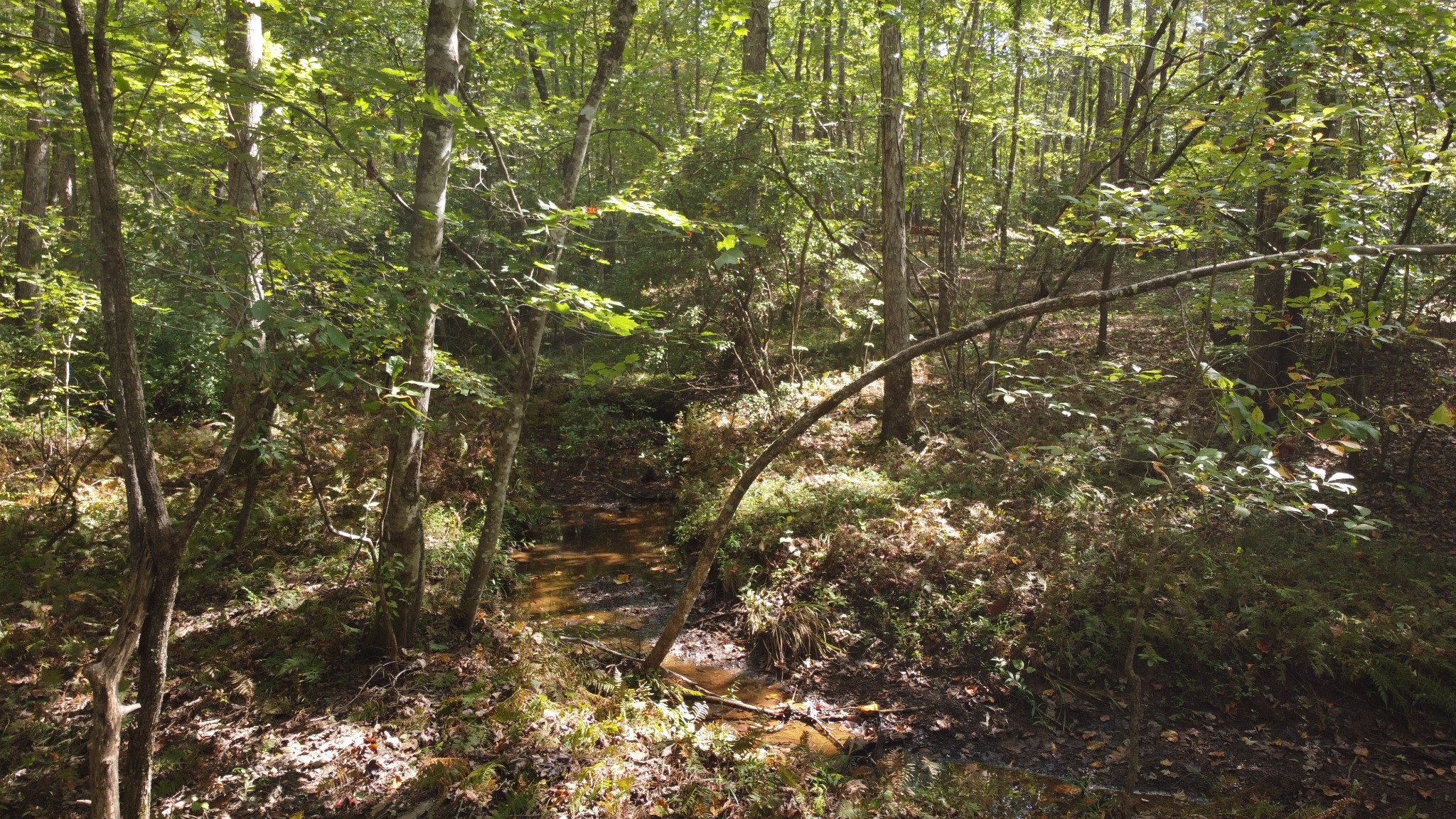 11 Camp Creek Road Spencer TN 38585