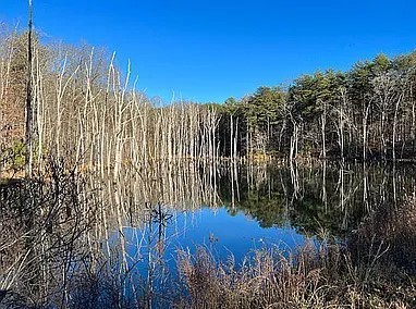 11 Camp Creek Road Spencer TN 38585