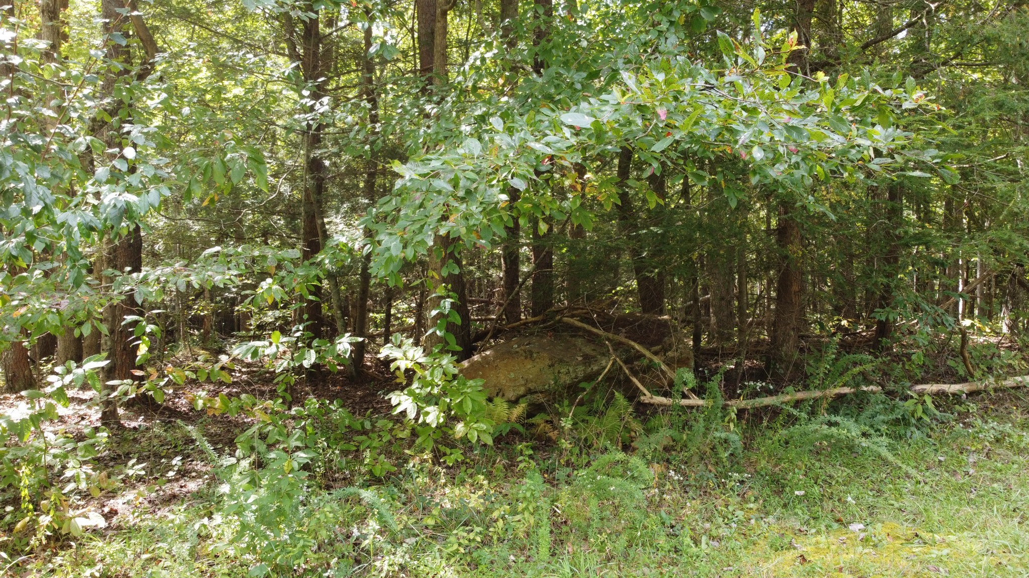 11 Camp Creek Road Spencer TN 38585