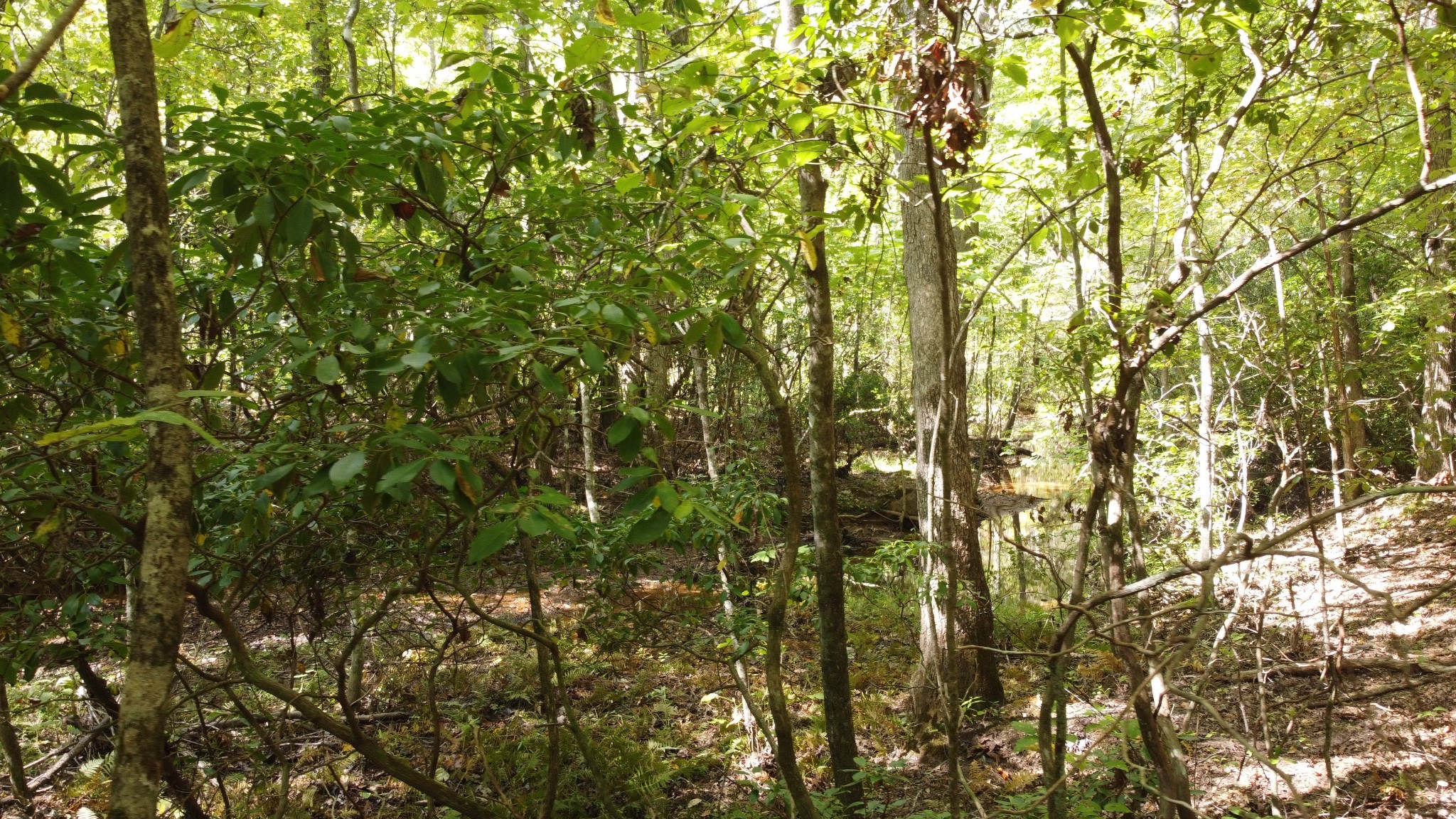 11 Camp Creek Road Spencer TN 38585