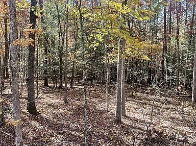 11 Camp Creek Road Spencer TN 38585