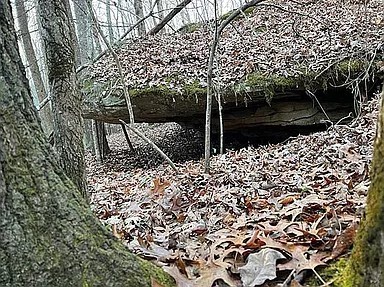 11 Camp Creek Road Spencer TN 38585