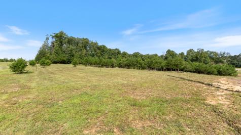 136 Winding Creek Way Altamont TN 37301