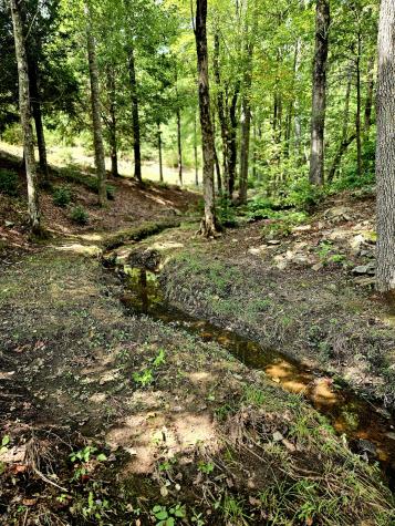 136 Winding Creek Way Altamont TN 37301