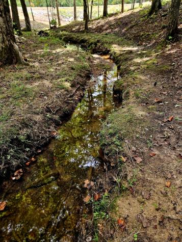 136 Winding Creek Way Altamont TN 37301