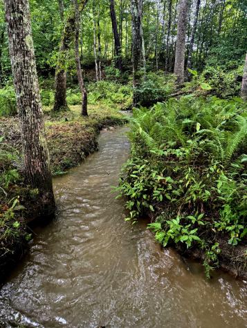 136 Winding Creek Way Altamont TN 37301