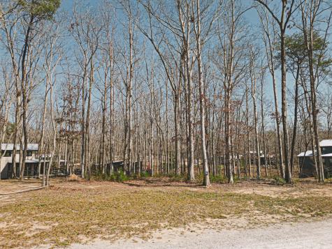 25 Heron Circle Tracy City TN 37387