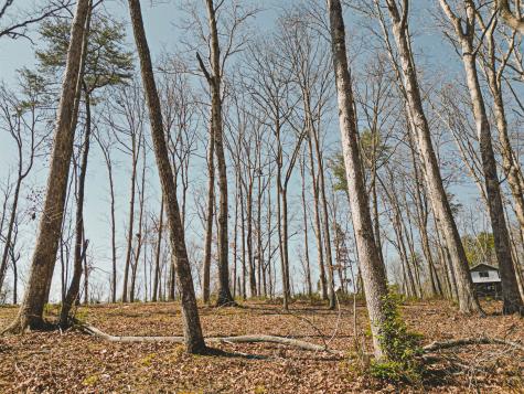 25 Heron Circle Tracy City TN 37387