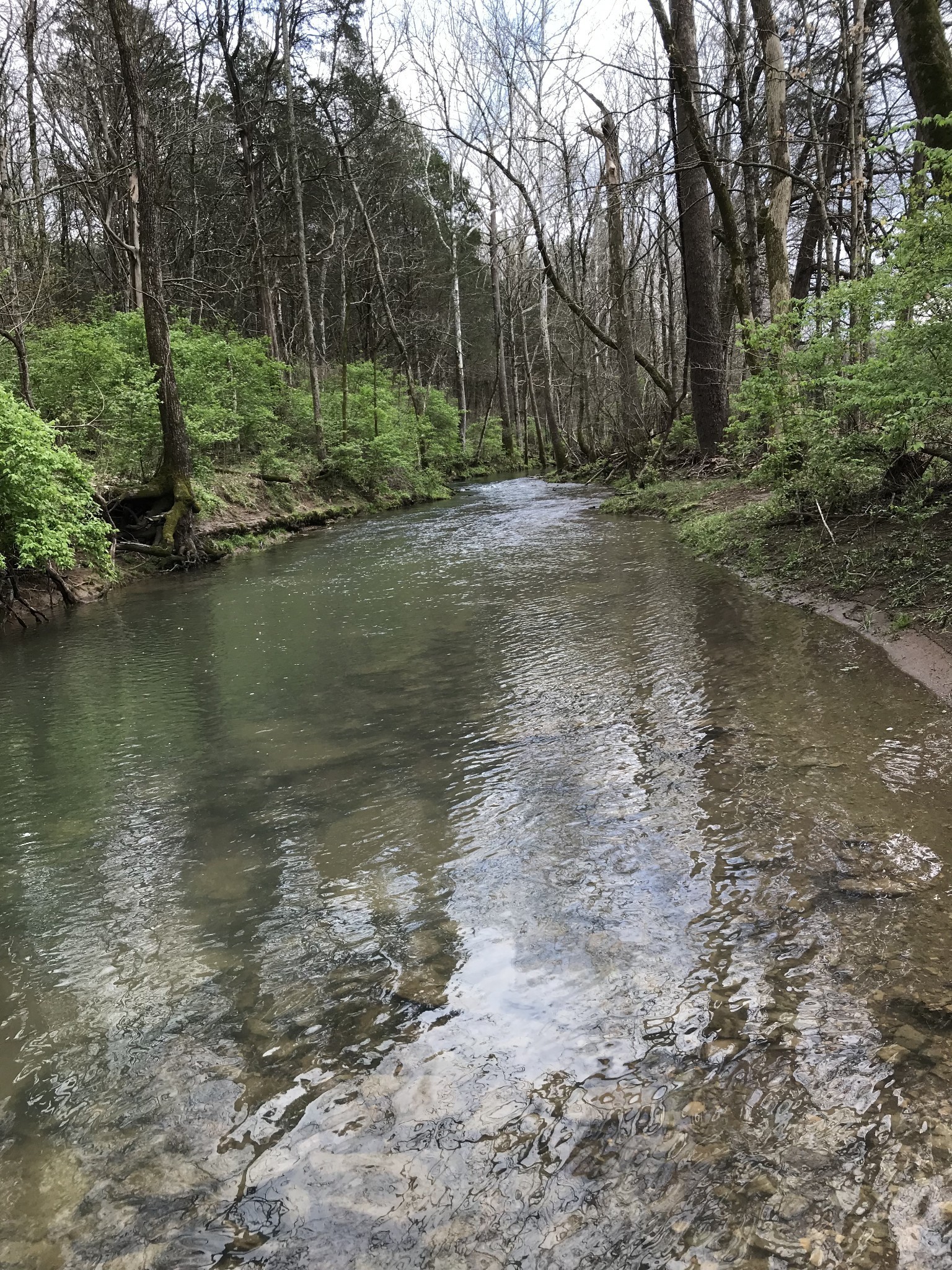 2390 Benders Ferry Road Mount Juliet TN 37122