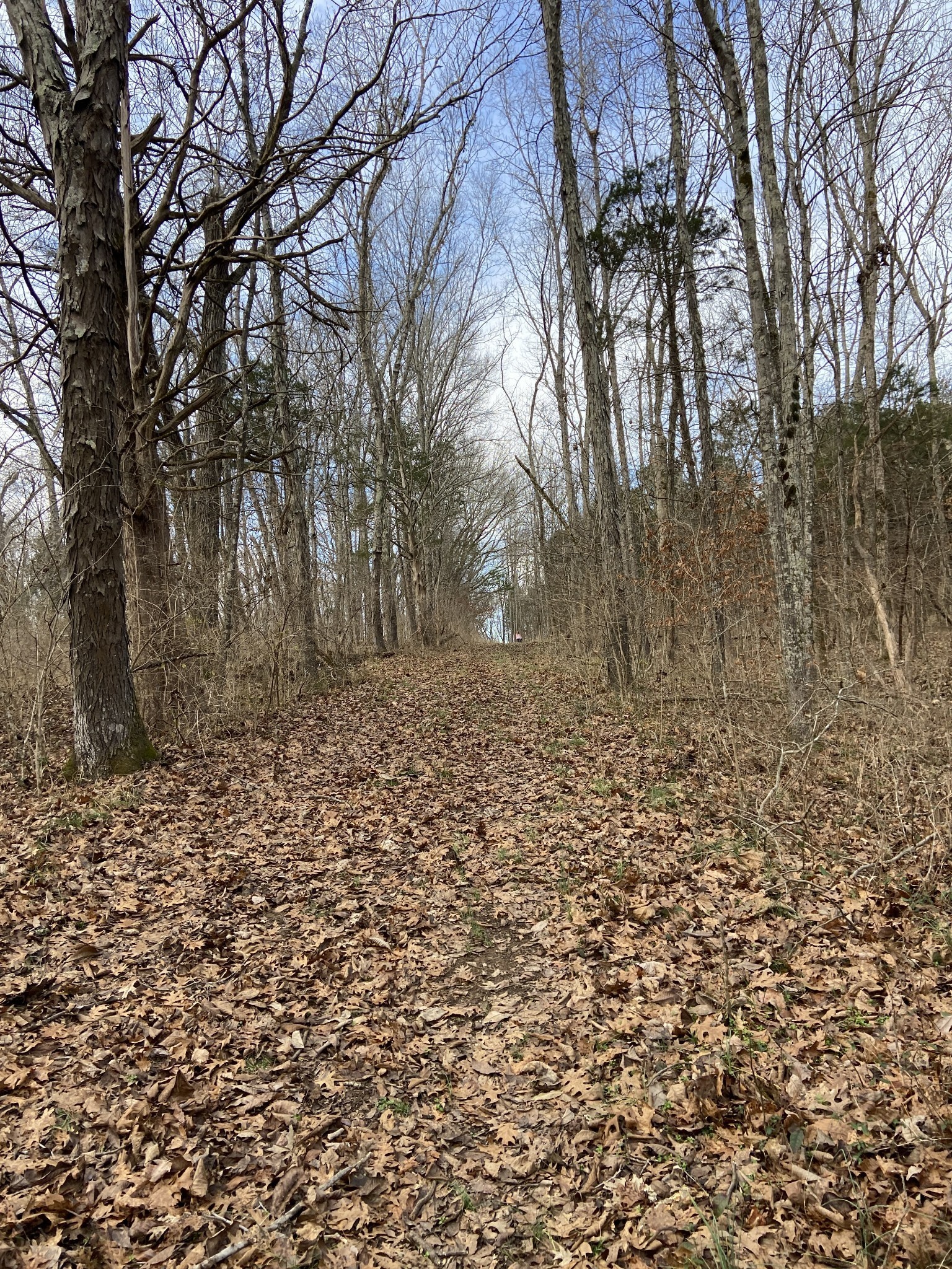 2390 Benders Ferry Road Mount Juliet TN 37122
