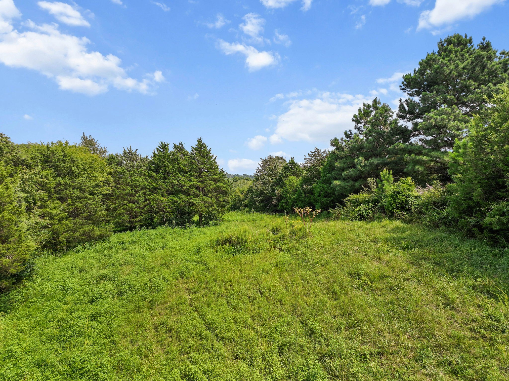 2301 Turner Road Watertown TN 37184