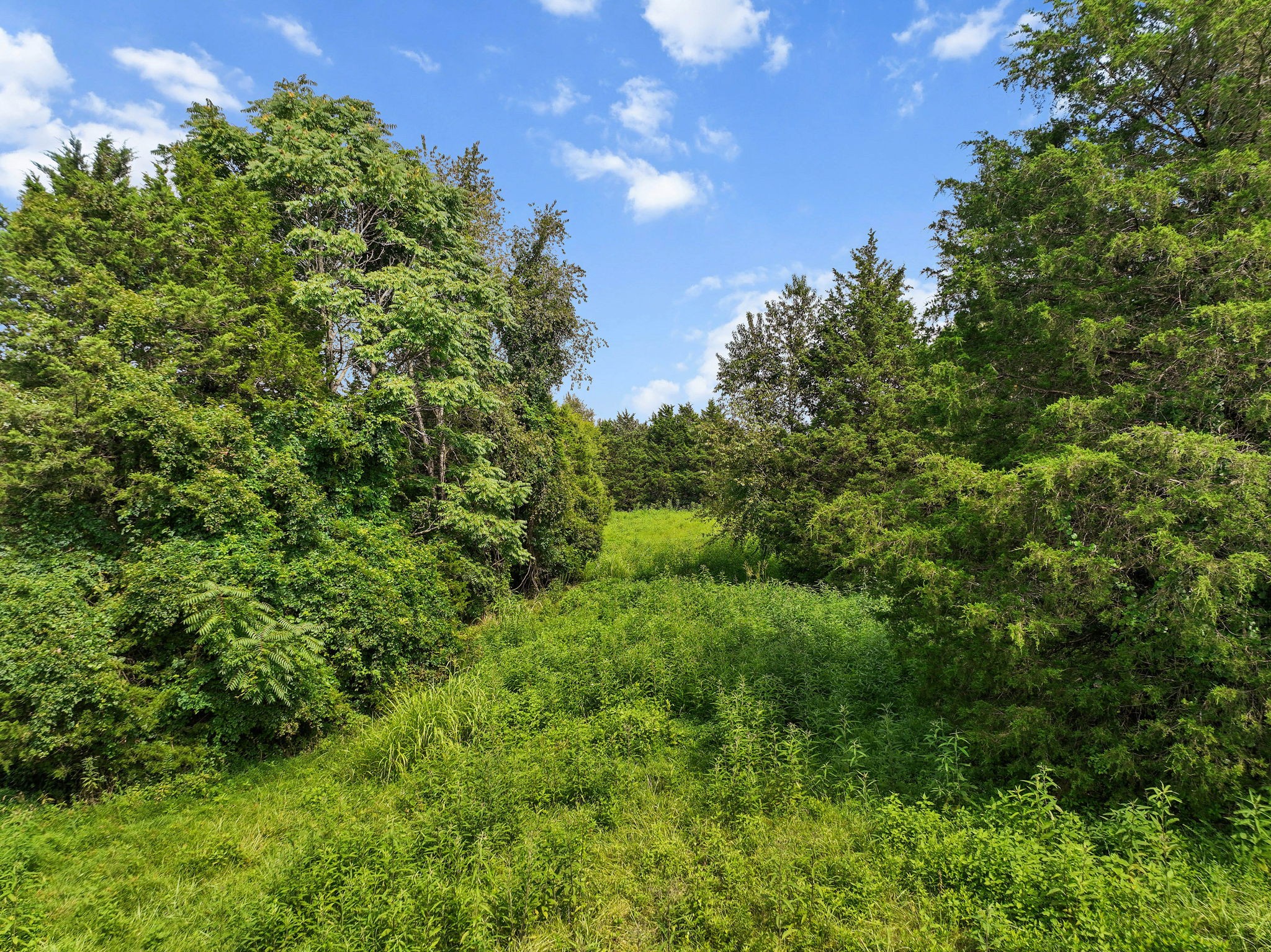 2301 Turner Road Watertown TN 37184