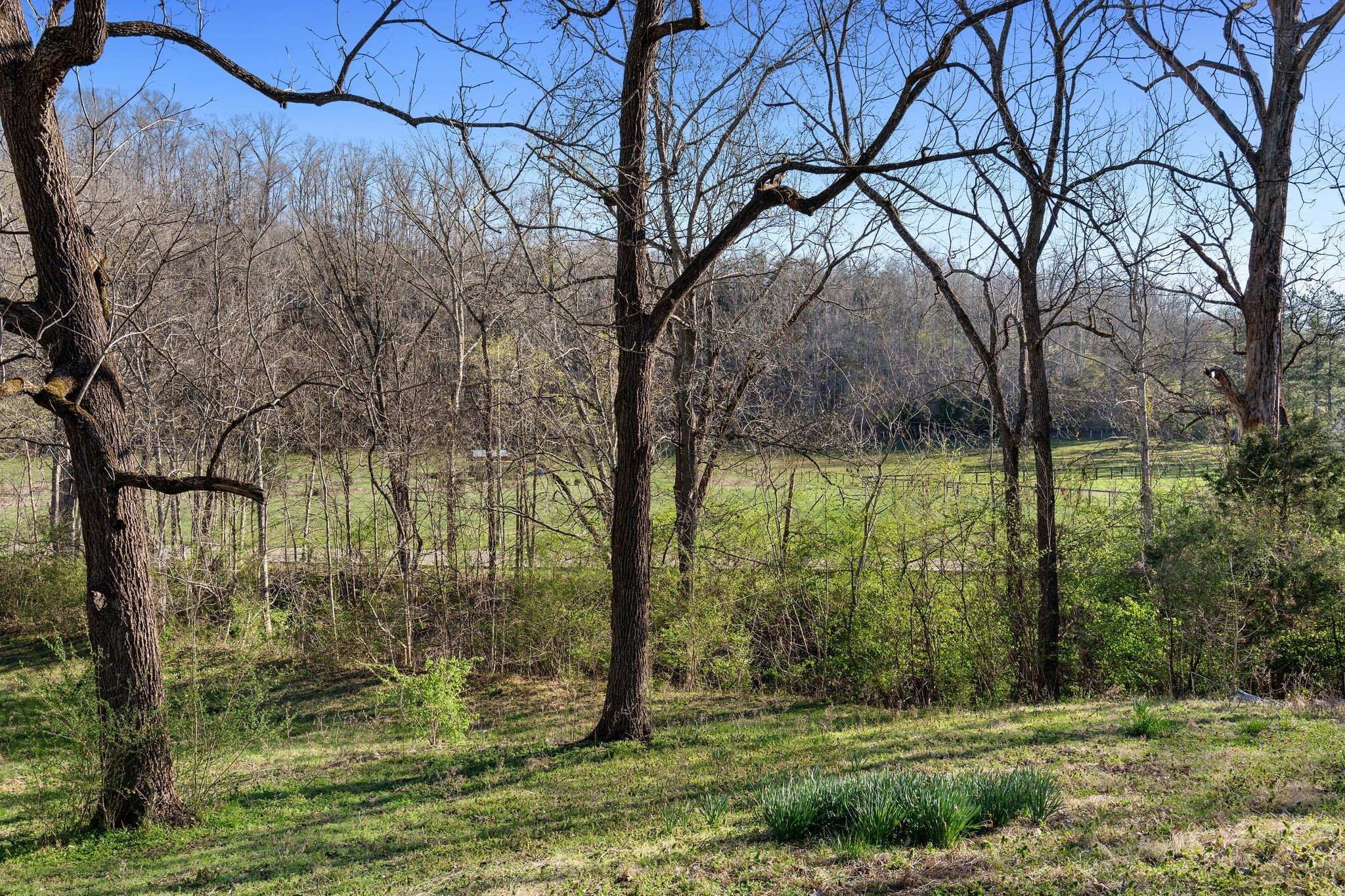 9208 Hester Beasley Road Nashville TN 37221