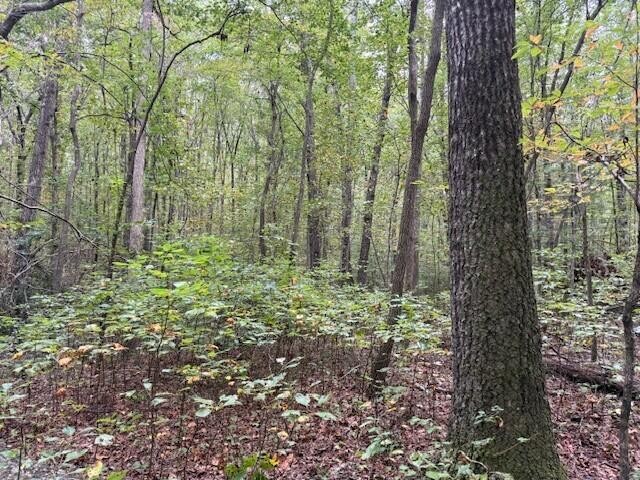 2 Tipple Road Tracy City TN 37387