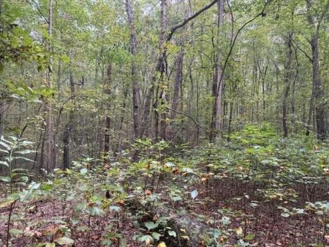 2 Tipple Road Tracy City TN 37387