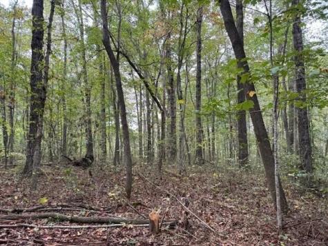 2 Tipple Road Tracy City TN 37387