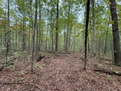 2 Tipple Road Tracy City TN 37387