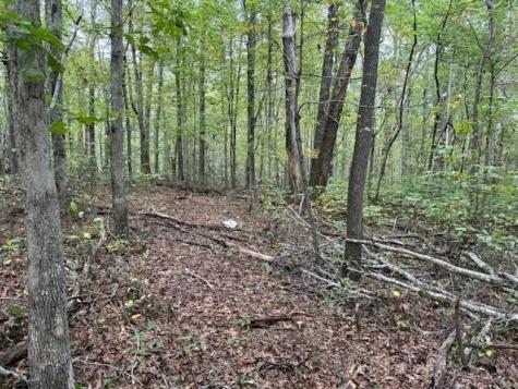 2 Tipple Road Tracy City TN 37387