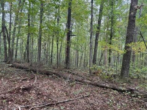 2 Tipple Road Tracy City TN 37387