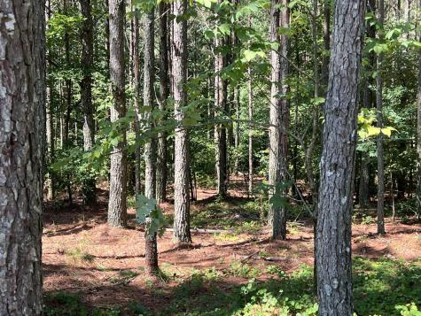940 Crockett Point Jasper TN 37347