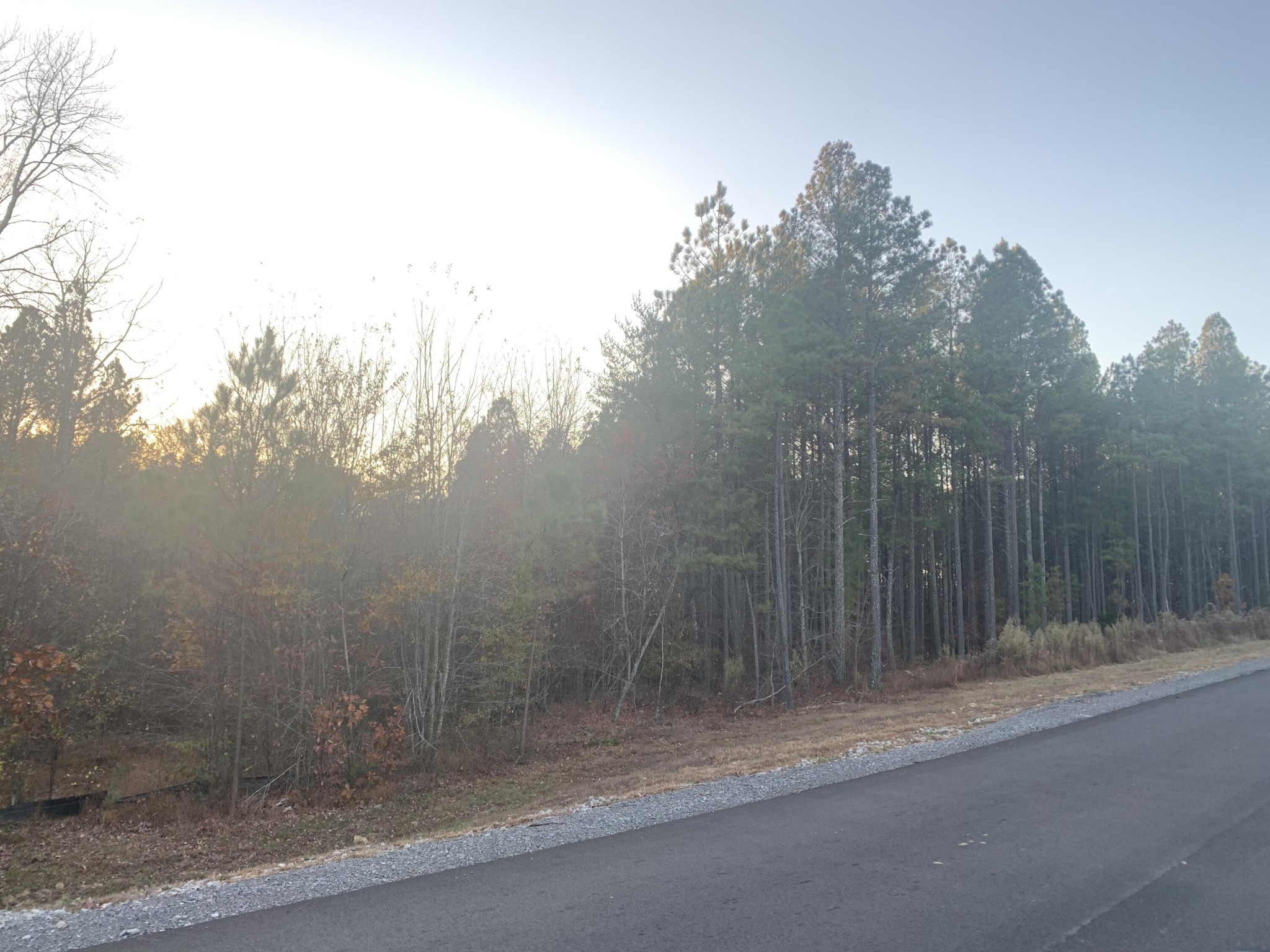 940 Crockett Point Jasper TN 37347