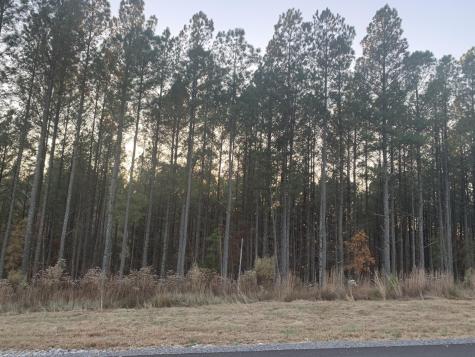 940 Crockett Point Jasper TN 37347