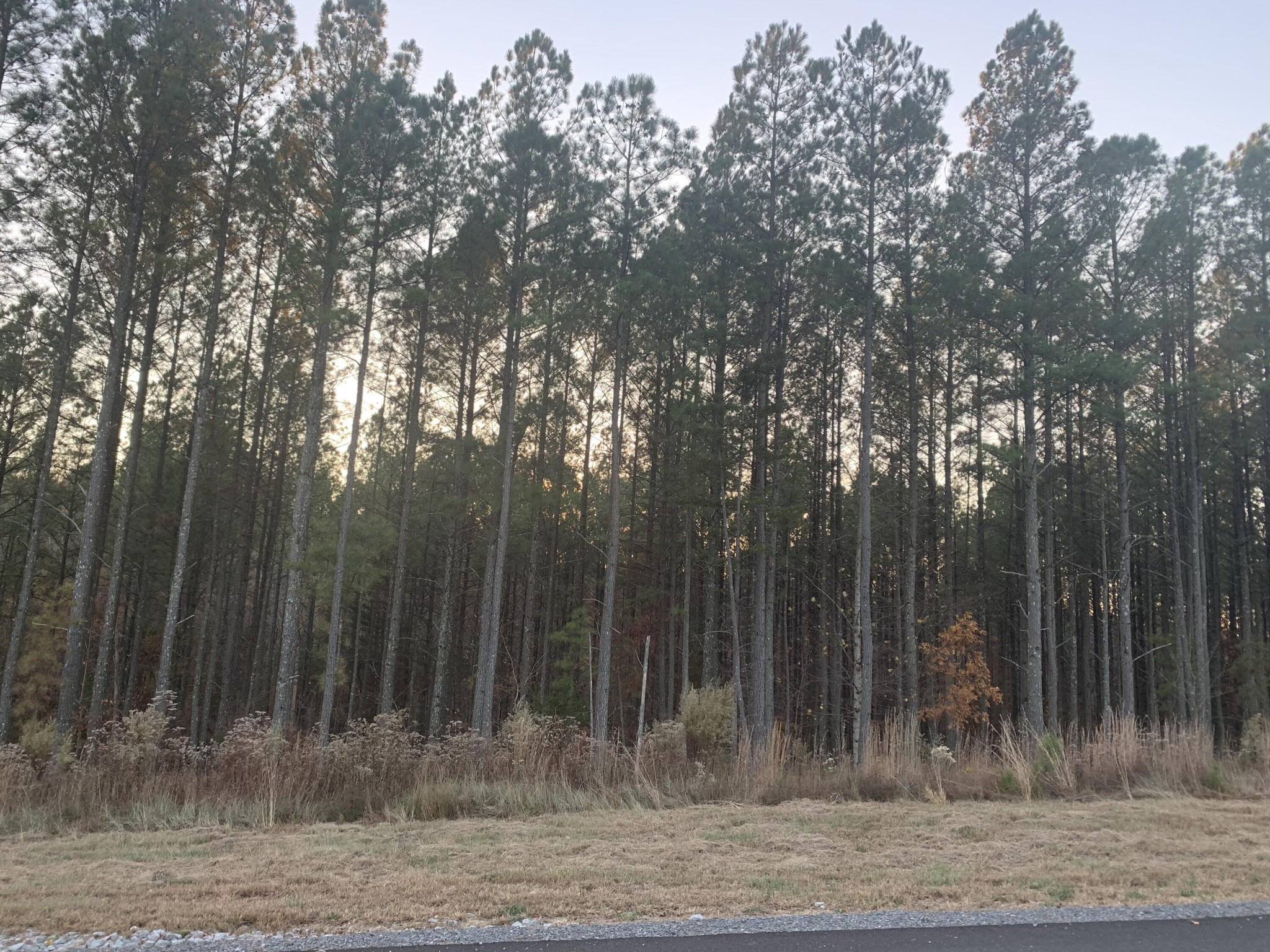 940 Crockett Point Jasper TN 37347