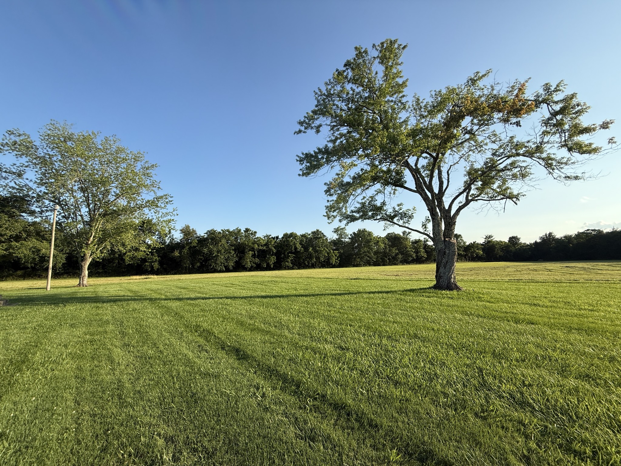 3171 Highway 41a, N Eagleville TN 37060