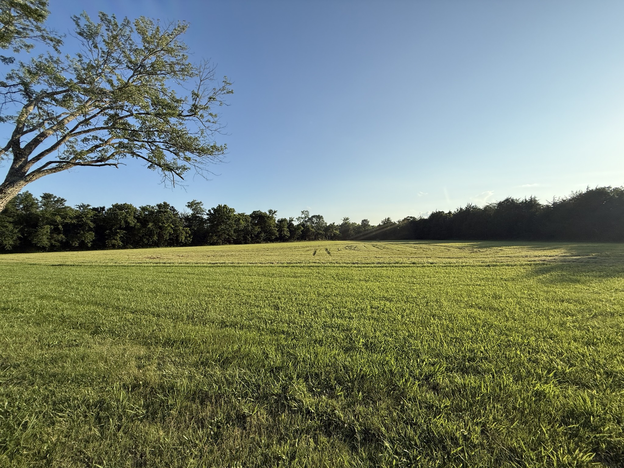 3171 Highway 41a, N Eagleville TN 37060