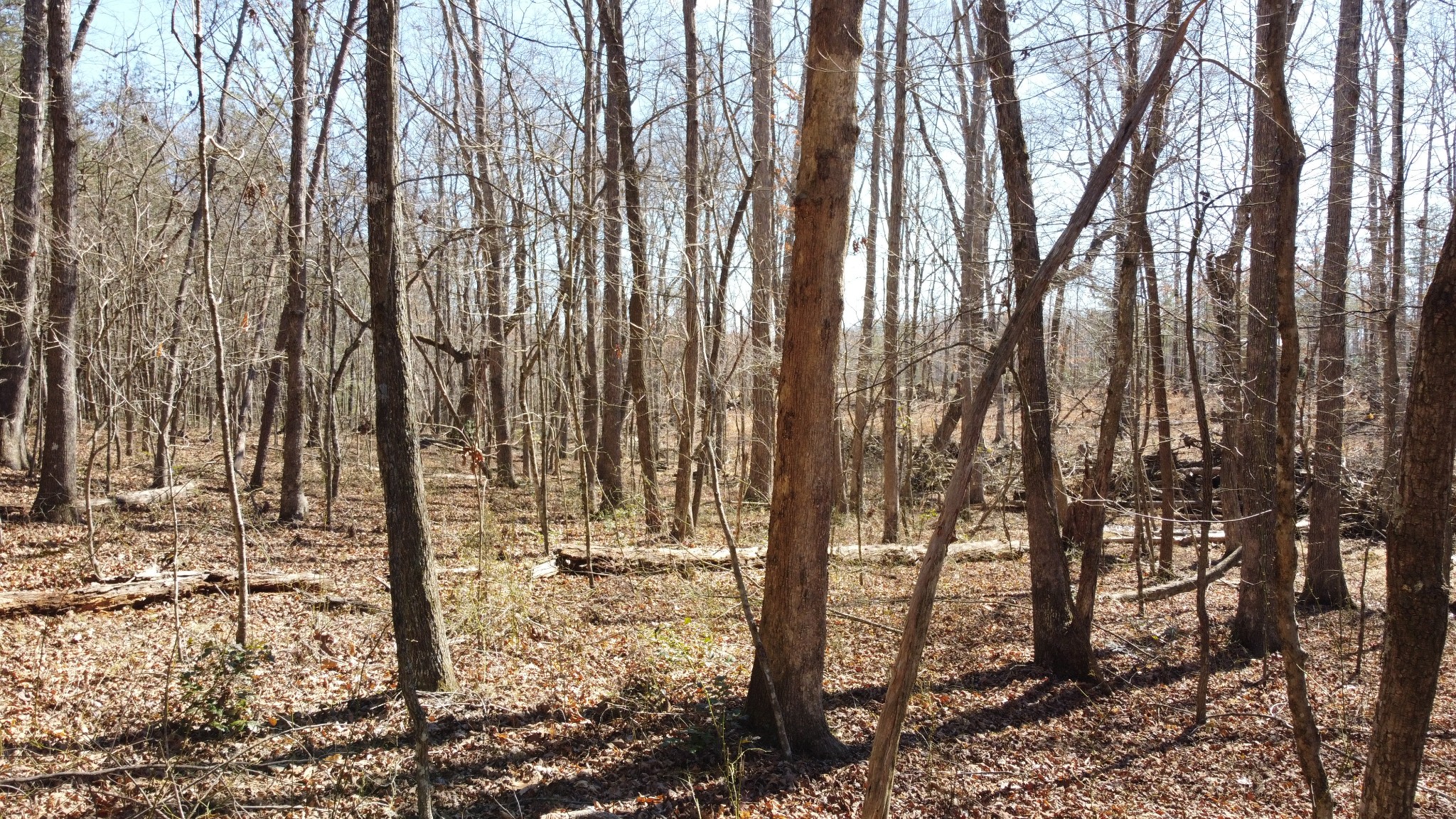 0 Rolling Hills Drive Spencer TN 38585